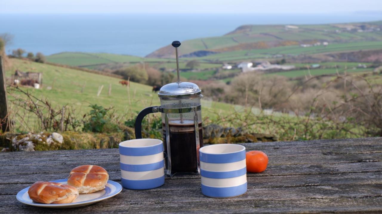 Polrunny Farm Elderberry Cottage With Sea View Boscastle Buitenkant foto