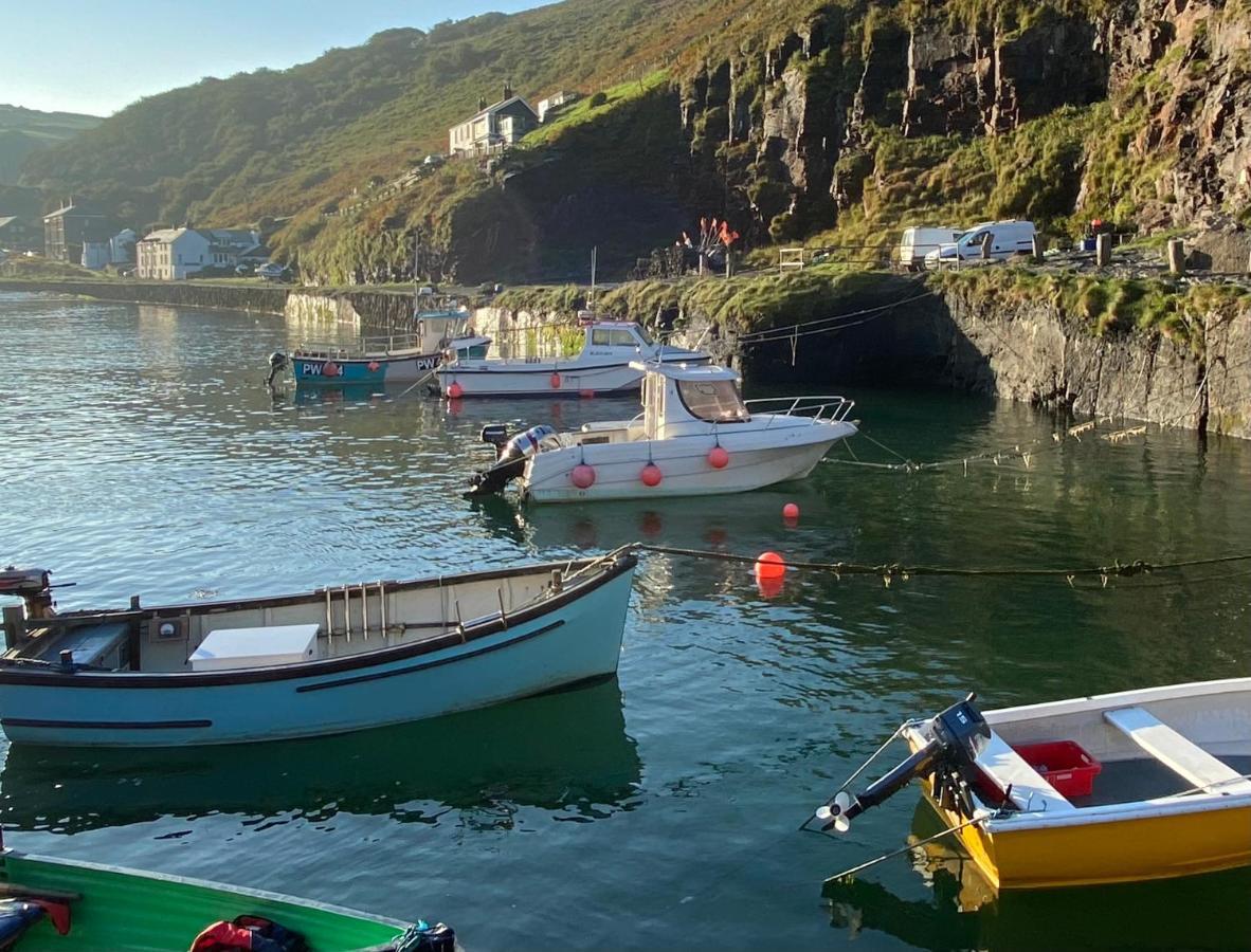 Polrunny Farm Elderberry Cottage With Sea View Boscastle Buitenkant foto