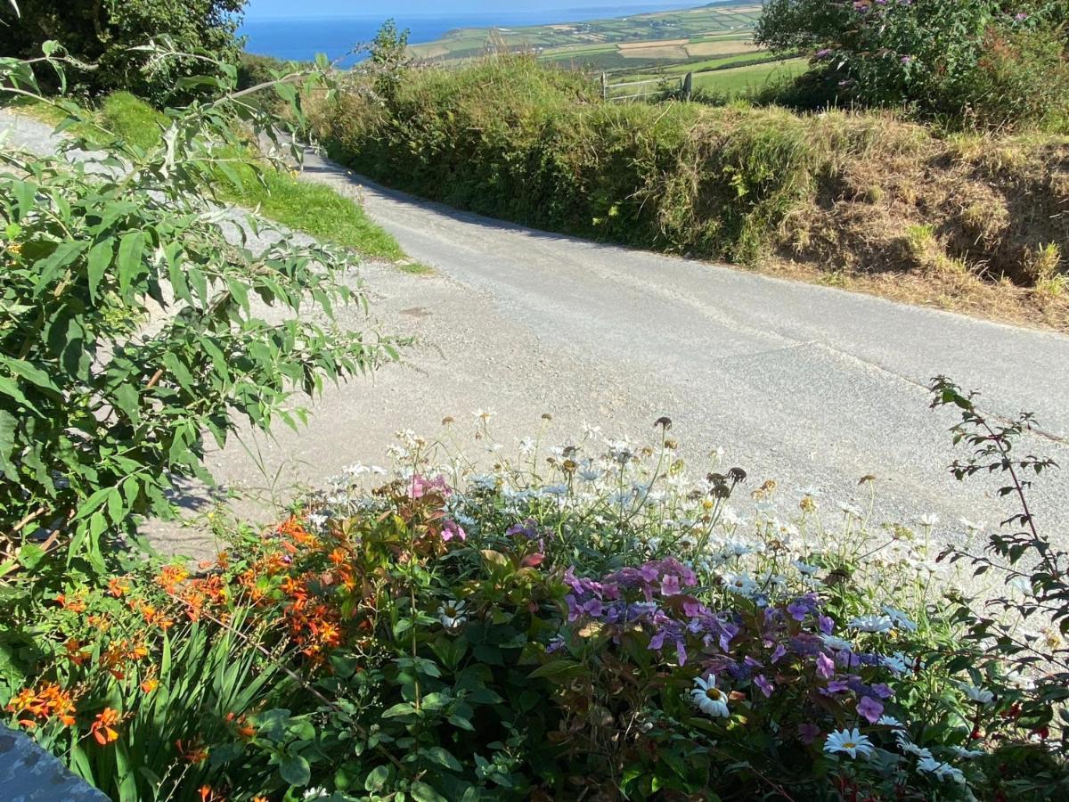 Polrunny Farm Elderberry Cottage With Sea View Boscastle Buitenkant foto