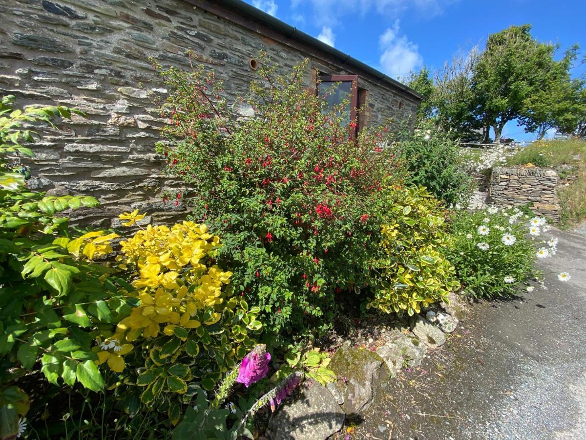 Polrunny Farm Elderberry Cottage With Sea View Boscastle Buitenkant foto