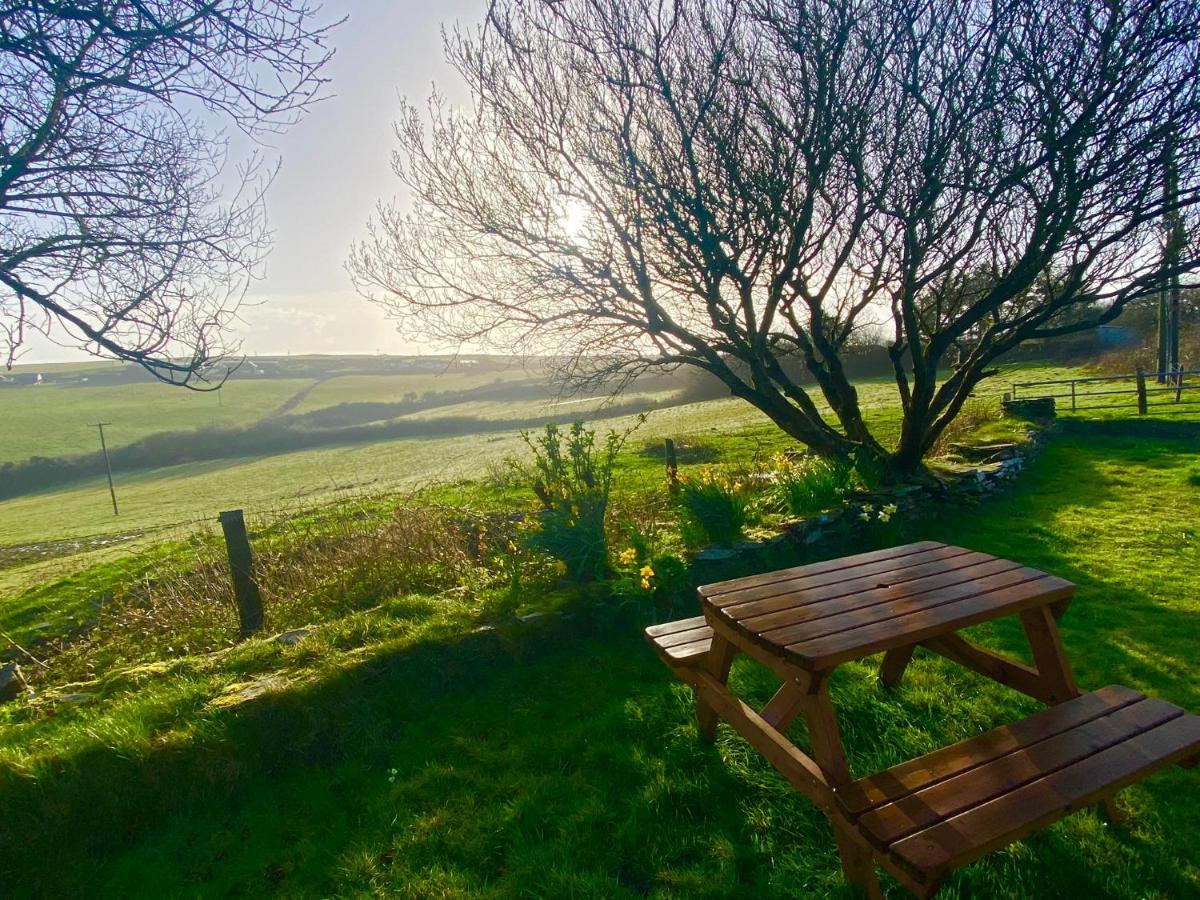 Polrunny Farm Elderberry Cottage With Sea View Boscastle Buitenkant foto